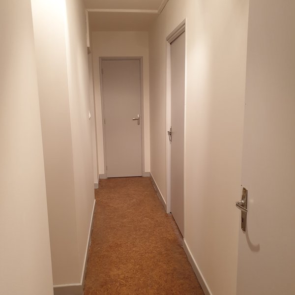 Peinture sur le plafond, les murs, les cadres et les portes.